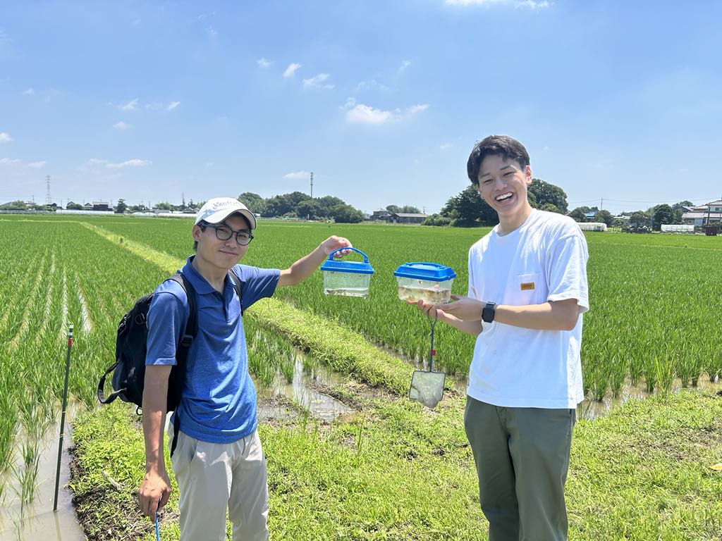 Biodiversity experiment