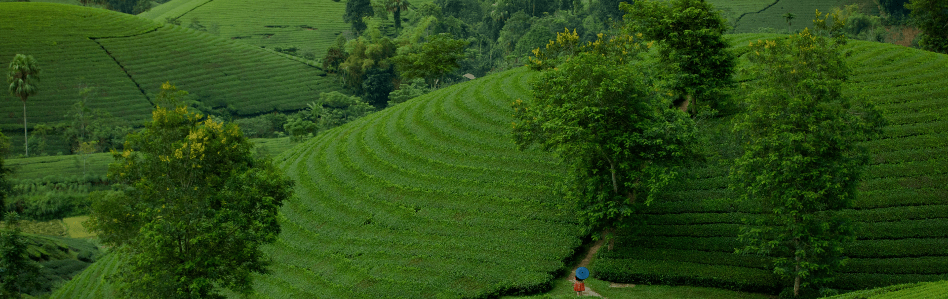 JCM制度のカーボンクレジットとは