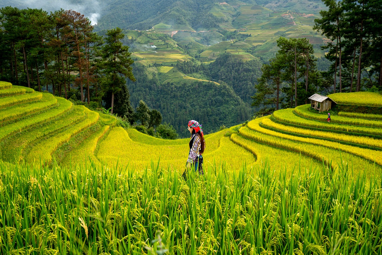 Improved Agricultural Land Management and Biochar application