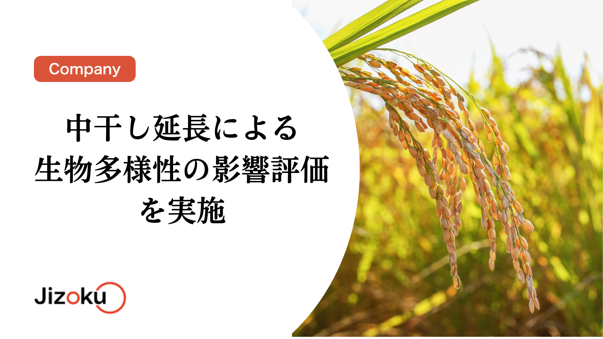 中干し延長による生物多様性の影響評価を実施